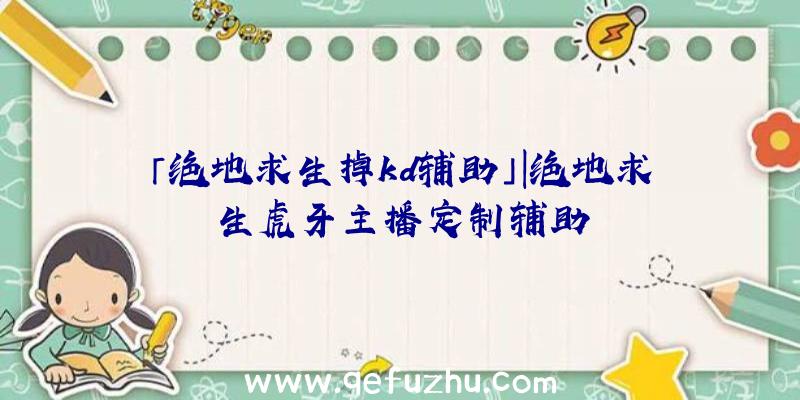 「绝地求生掉kd辅助」|绝地求生虎牙主播定制辅助